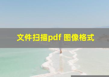 文件扫描pdf 图像格式